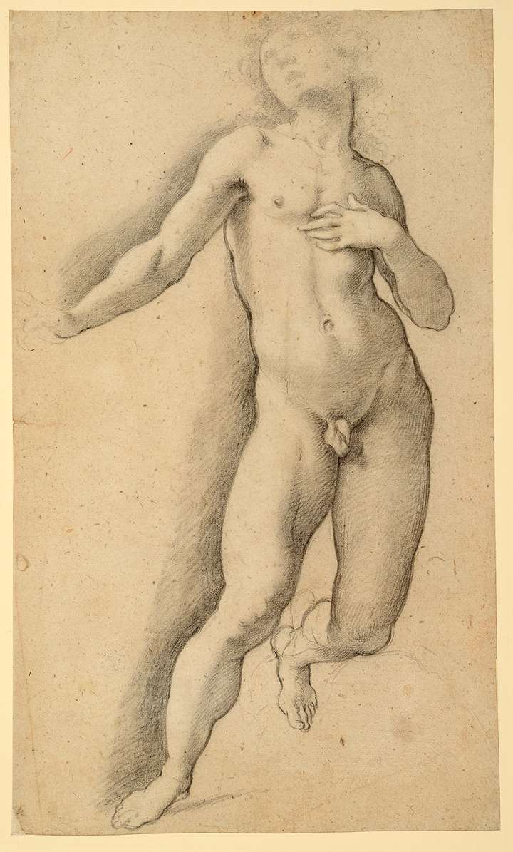 A Kneeling Male Nude